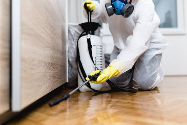 Best Residential Pest Control  in Lake Tansi, TN