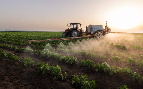 Best Mosquito Control Services  in Lake Tansi, TN