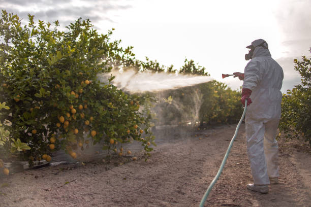 Best Affordable Pest Control Services  in Lake Tansi, TN