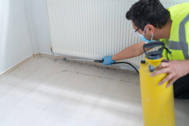 Best Termite Control Services  in Lake Tansi, TN