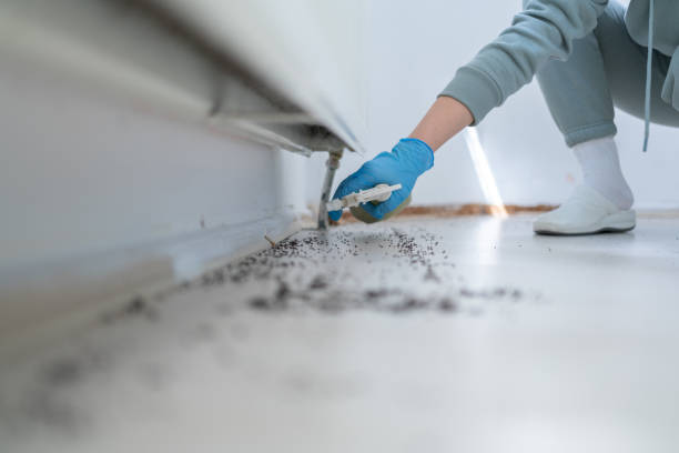 Best Affordable Pest Control Services  in Lake Tansi, TN