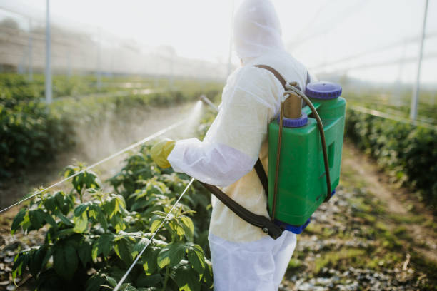 Best Emergency Pest Control  in Lake Tansi, TN